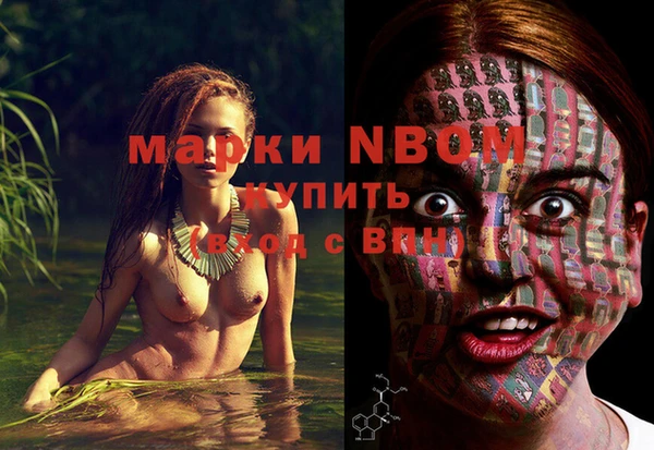 крисы Зеленокумск