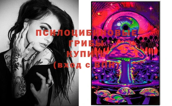 крисы Зеленокумск