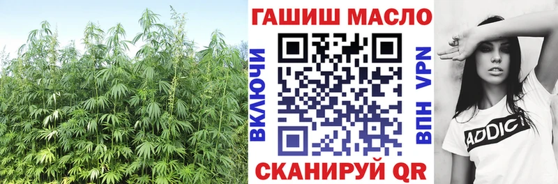 Купить  Первомайск  ТГК гашишное масло 