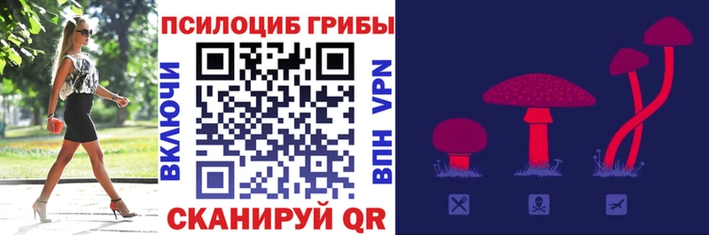 Купить где  Первомайск  Псилоцибиновые грибы MAGIC MUSHROOMS 